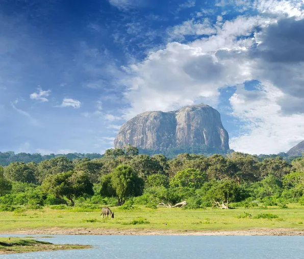 Kulturschätze in Sri Lanka kombiniert mit paradiesischem Badeaufenthalt Bild: Kulturschätze in Sri Lanka kombiniert mit paradiesischem Badeaufenthalt