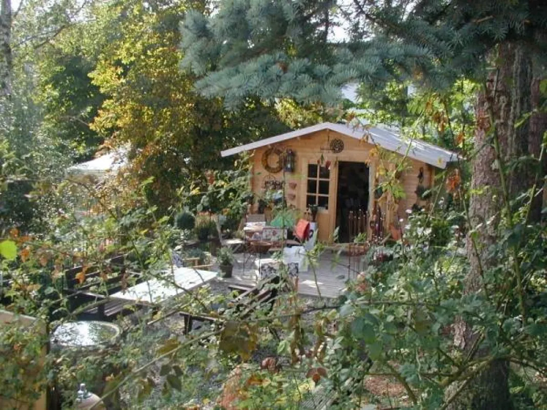 Ein bisschen Urwald, ein bisschen Park.