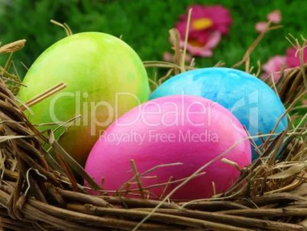 Bild: Freie Auswahl statt lästiger Abo-Verpflichtung