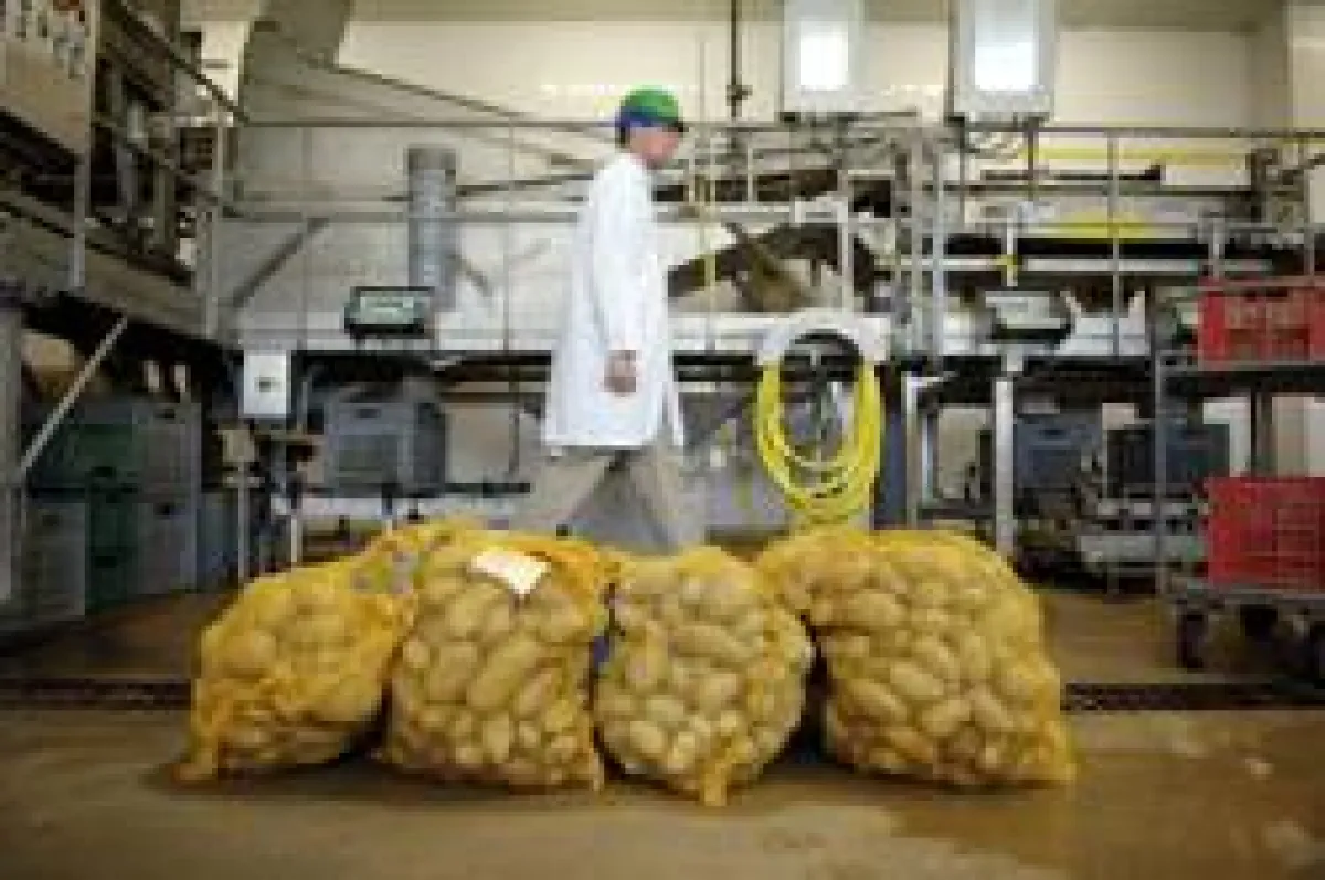 Die französische Agrarindustrie: ein geeignetes Umfeld für ausländische Investoren und Unternehmen, die den europäischen und weltweiten Markt bedienen möchten.