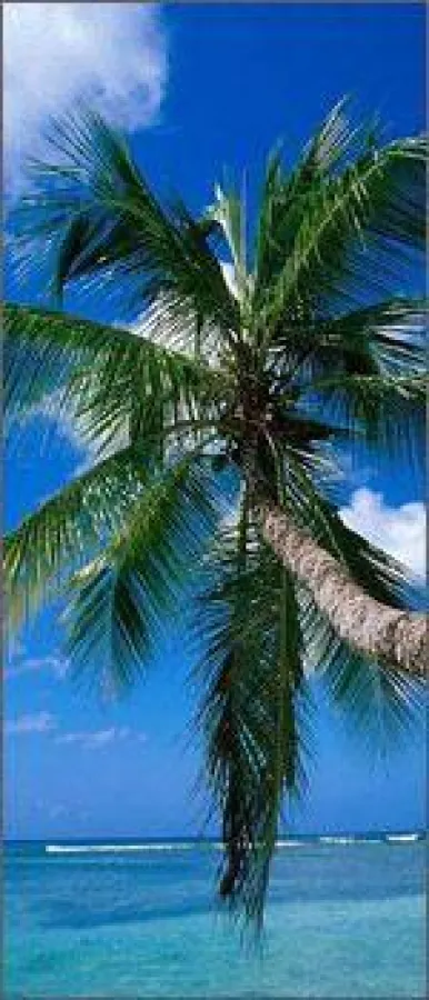 Entspannt in den Urlaub