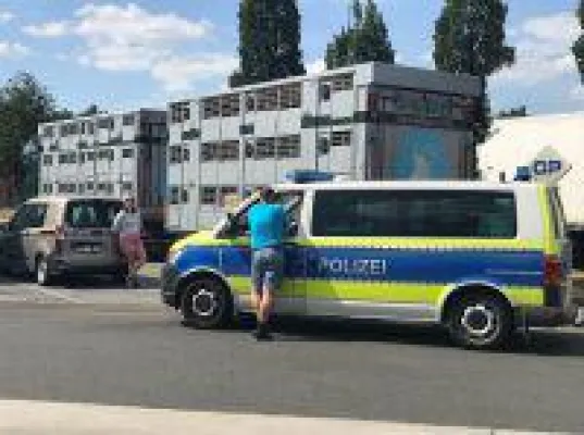 Bild: Deutsches Tierschutzbüro zeigt Spediteur wegen Verstößen gegen Tierschutzgesetze in Brandenburg an