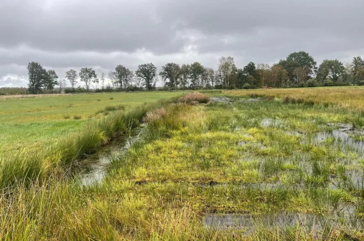 Öffentliche Stadträume, Design und Kreislaufwirtschaft, Moderner MINT-Unterricht – Tagungen an der h_da im November Bild: Öffentliche Stadträume, Design und Kreislaufwirtschaft, Moderner MINT-Unterricht – Tagungen an der h_da im November