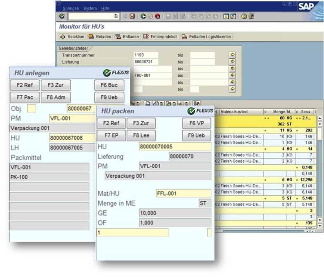 Handling Unit Management für SAP® Versandabwicklung auf ITSMobileBasis