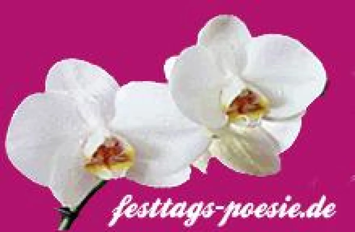 Festtags Poesie