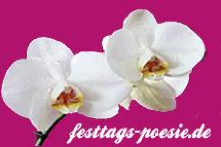 Festtags-poesie.de -Sprüche, Gedichte und Prosa zu Festtagen Bild: Festtags-poesie.de -Sprüche, Gedichte und Prosa zu Festtagen