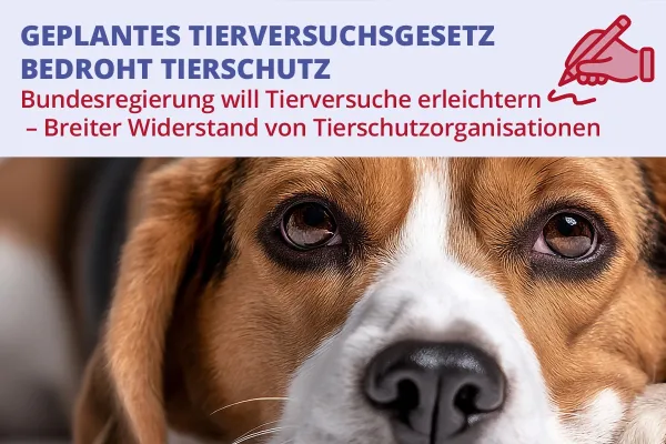 Bild: Geplantes Tierversuchsgesetz bedroht Tierschutz 