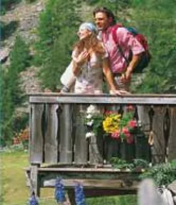 Bild: Duftende Apfelblüte in Südtirol