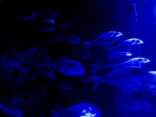 Bild: Wasser – globale Ressource von existenzieller Bedeutung