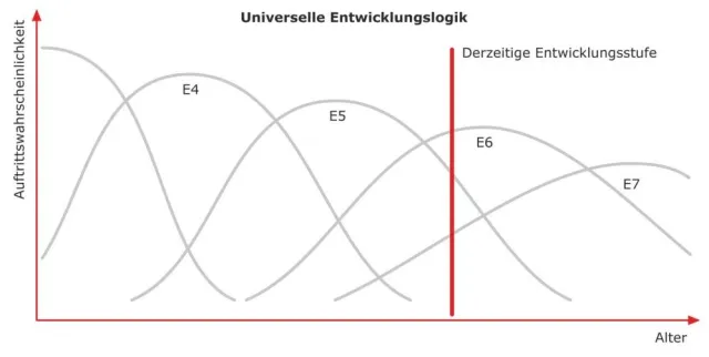 Bild: Das Ich-Entwicklungs-Profil - Erster Zertifizierungs-Workshop für Coaches und Berater im Juli 2009