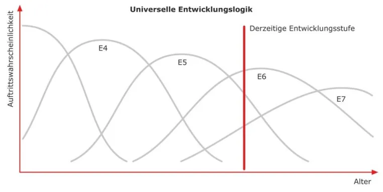Bild: Das Ich-Entwicklungs-Profil - Erster Zertifizierungs-Workshop für Coaches und Berater im Juli 2009