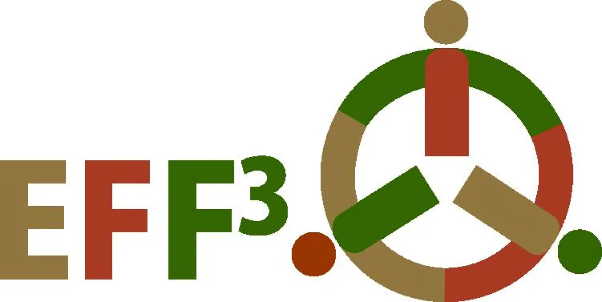 Das Logo von EFF3