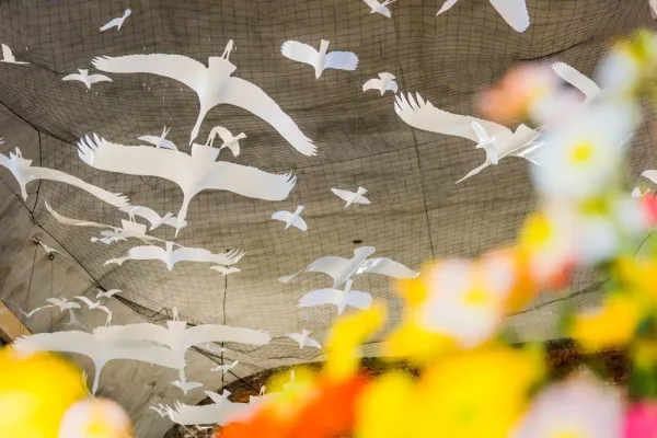 Bild: Blüten, Lieder, Frühlingsglück: Dresdner Frühling im Palais beginnt