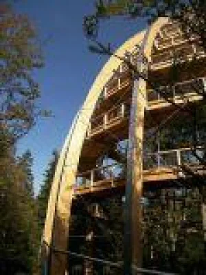 Bild: Natur erleben in luftiger Höhe auf dem längsten Baumwipfelpfad der Welt im Bayerischen Wald
