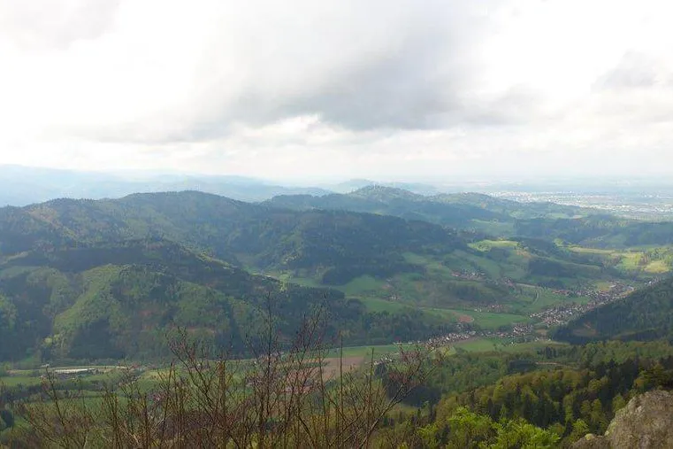 Bild: Mitglieder der Fitness Oase Wörth wanderten wieder ins Elsass