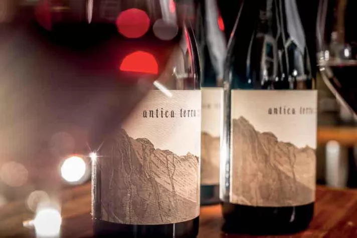 Bild: Wine & Dine mit Maggie Harrison im Pier 51