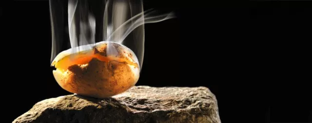 Bild: Photodesign Lothar Drechsel und die Kunst mit Kartoffeln
