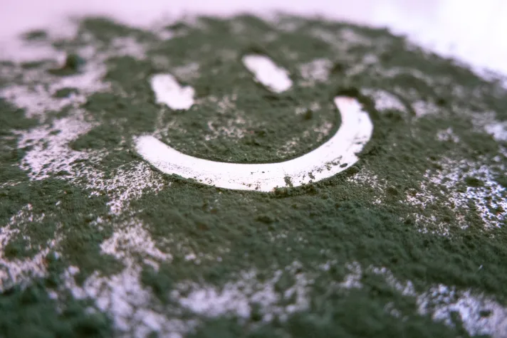 Bild: Marine Phytoplankton – das Superfood des Meeres