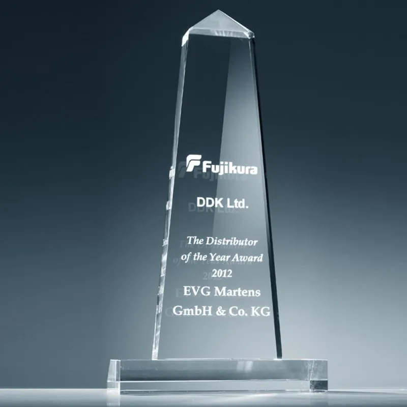 Award Bester Distributor 2012