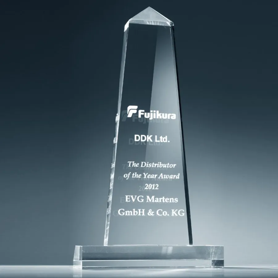 Award Bester Distributor 2012