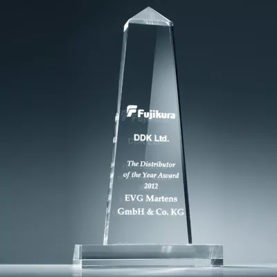 Bild: Bester Distributor des Jahres 2012