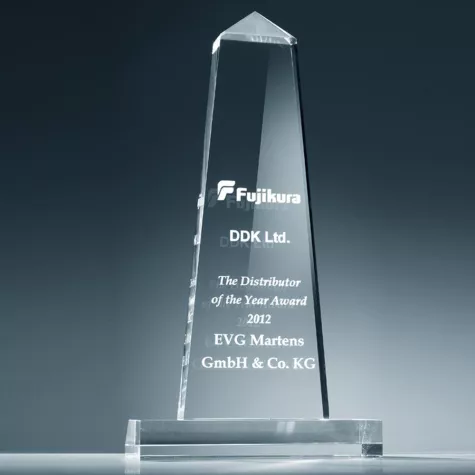 Bild: Bester Distributor des Jahres 2012