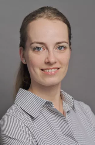 Bild: Fokus auf Ambient-Trendentwicklung