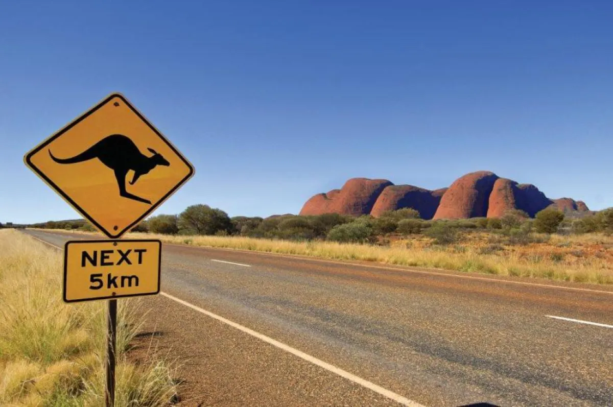 Mit Intrepid zu den Naturschönheiten, lebenswerten Städten und faszinierenden Tierwelten Australiens