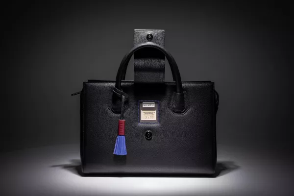 Bild: Die erste Damenhandtasche, die Männer heimlich für sich selbst kaufen