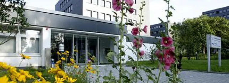 Bild: Arabisch, Chinesisch, Japanisch, Russisch, Persisch, Koreanisch: Neues Sprachkurs-Programm im LSI in Bochum