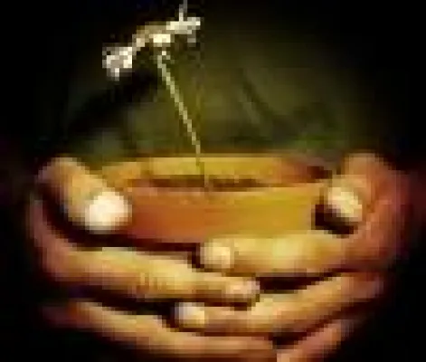 Bild: Umfrageergebnisse: Wenig Religion im Alltag