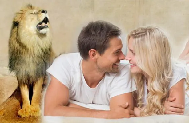 Damiana, um wieder zum 'König des Waldes' zu werden Bild: Damiana, um wieder zum 'König des Waldes' zu werden