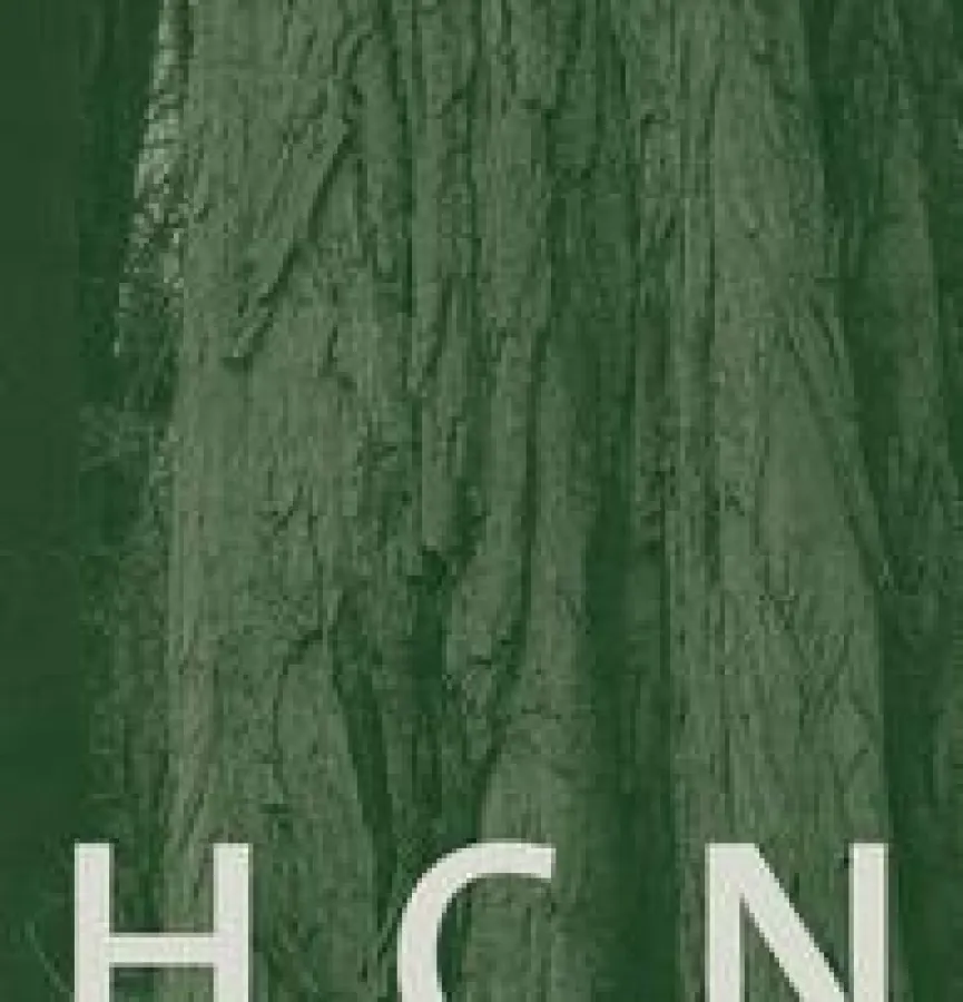 HCN HolzConsulting GmbH
