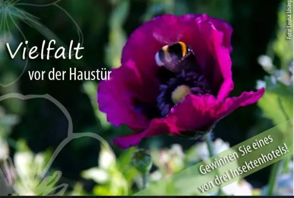 Bild: Artenschutz-Gedenktag: Artenschutz fängt vor der Haustür an.