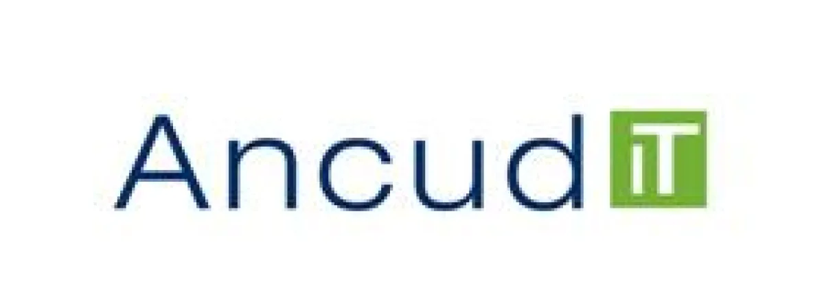 Ancud IT-Beratung aus Nürnberg