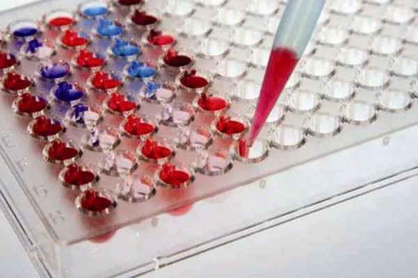 Nach früher Diagnose: Krebs auch zielgenauer bekämpfen Bild: Nach früher Diagnose: Krebs auch zielgenauer bekämpfen