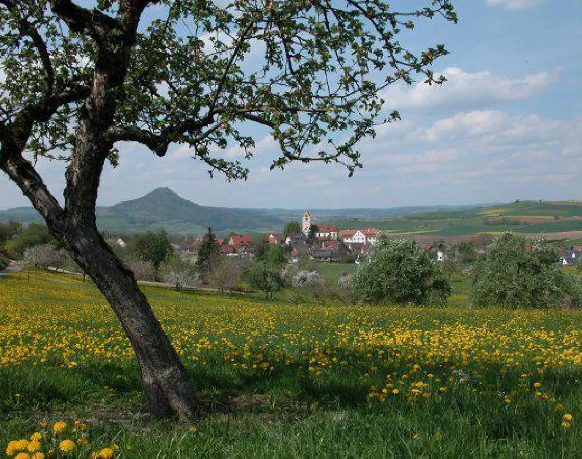 Heiraten auf schloss Weiterdingen im malerischen Hegau