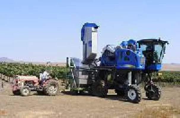 Israelische Weine feiern internationale Erfolge Bild: Israelische Weine feiern internationale Erfolge