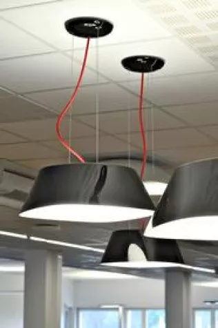 Bild: Inspiriert von der Natur