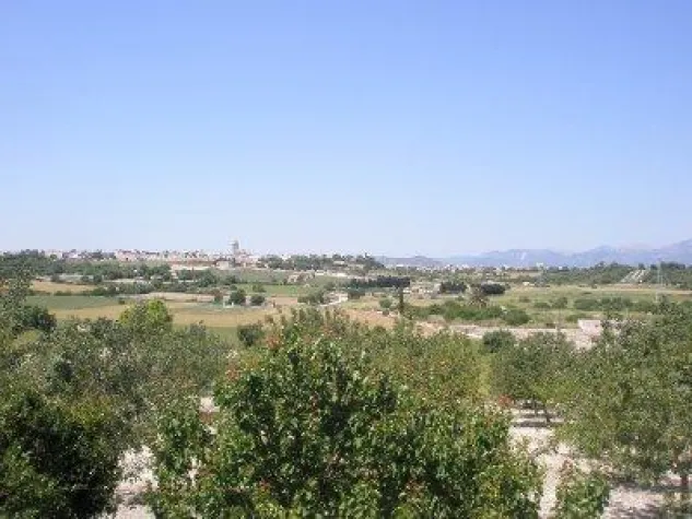 Bild: Mallorca Frühling 2010