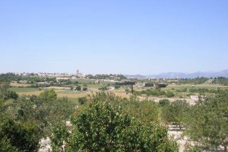 Bild: Mallorca Frühling 2010