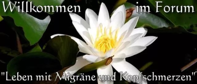 Leben mit Migräne und Kopfschmerzen Bild: Leben mit Migräne und Kopfschmerzen