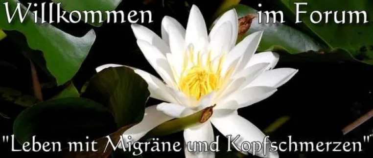 Bild: Leben mit Migräne und Kopfschmerzen