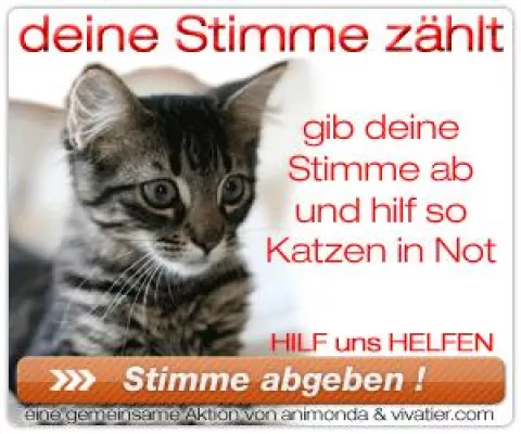 Bild: Katzenfutter Charity-Aktion: Deine Stimme zählt