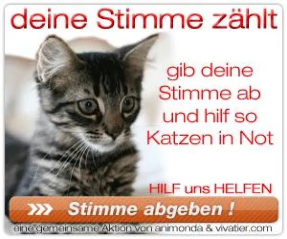 Bild: Katzenfutter Charity-Aktion: Deine Stimme zählt