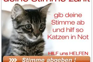 Bild: Katzenfutter Charity-Aktion: Deine Stimme zählt