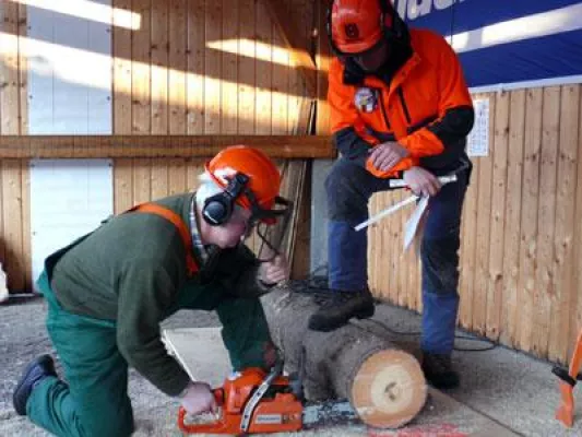 Bild: Spannung beim Bogenbau und viel Fingerspitzengefühl beim Sägen