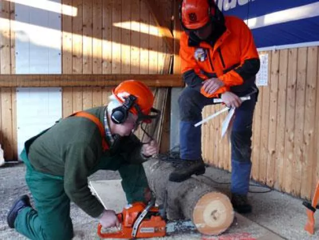 Spannung beim Bogenbau und viel Fingerspitzengefühl beim Sägen Bild: Spannung beim Bogenbau und viel Fingerspitzengefühl beim Sägen