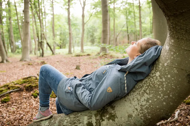Bild: Dr. Wald macht gesund: Therapie und Prävention im Wald lernen