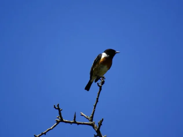 In Seven States, Atheists Push to End Largely Forgotten Ban Bild: In Seven States, Atheists Push to End Largely Forgotten Ban